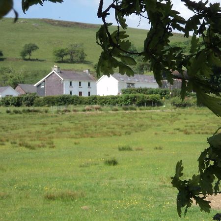 Merlin Cottages Llandovery Exteriér fotografie